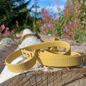 Gold hexa noutajatalutin 170cm