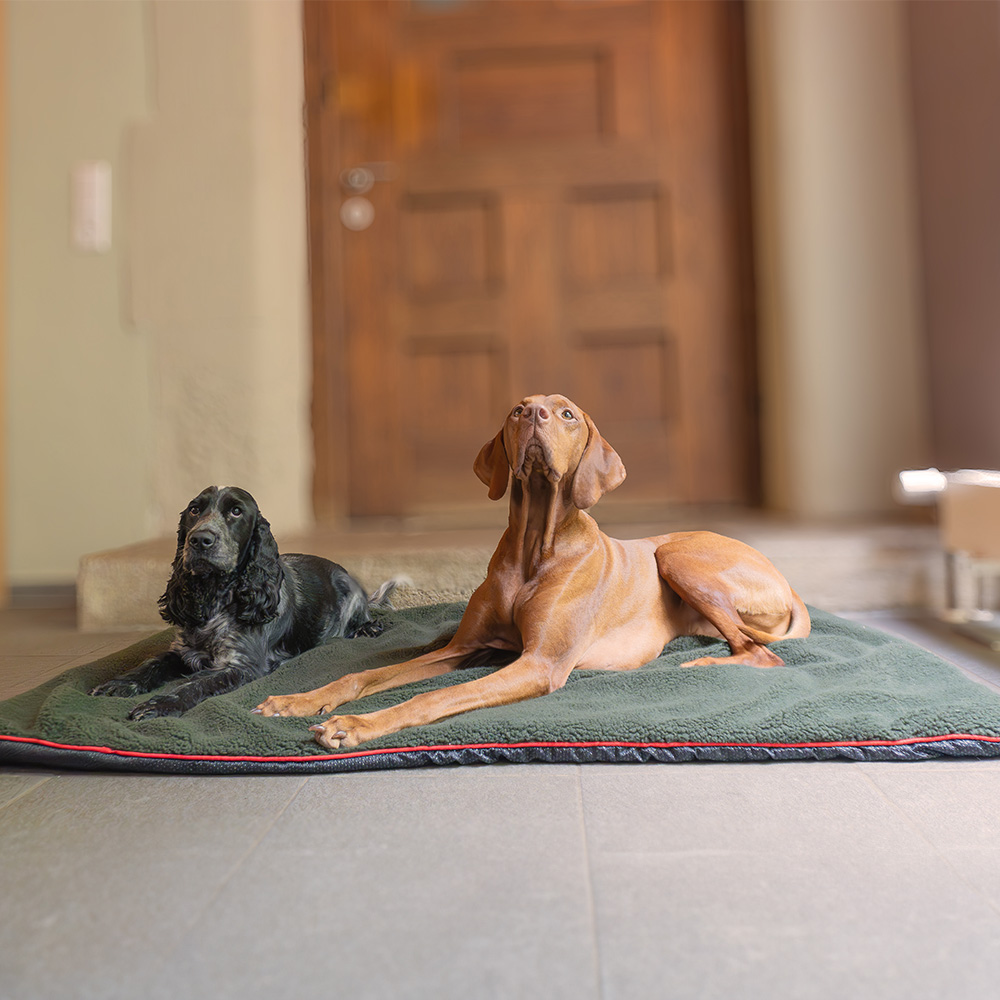 Romneys makuualusta L - Image 5